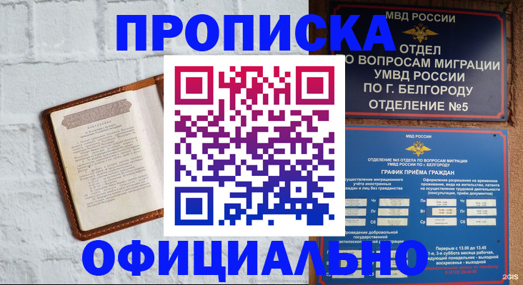 временная регистрация для школы в Змеиногорске